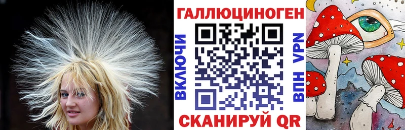 Галлюциногенные грибы Psilocybe Грязовец
